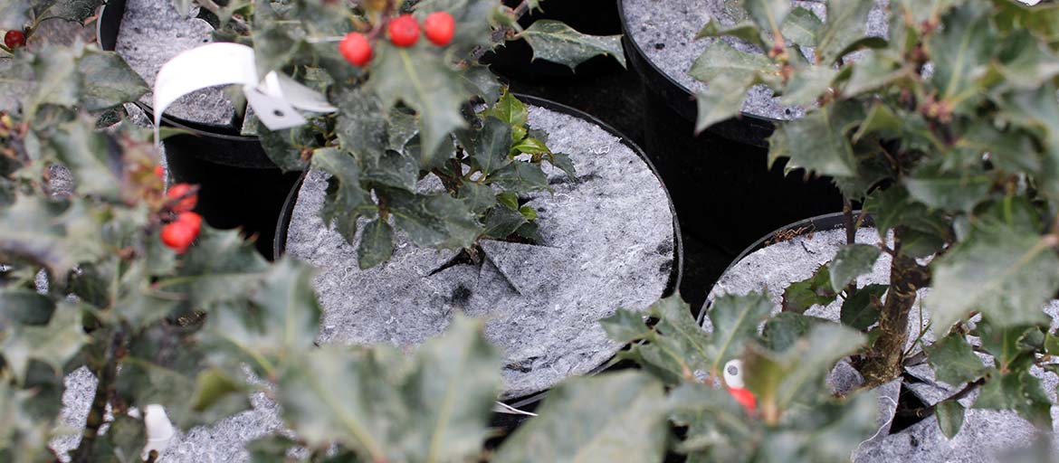 Kuitukangasruohontorjuntalevyt Puola