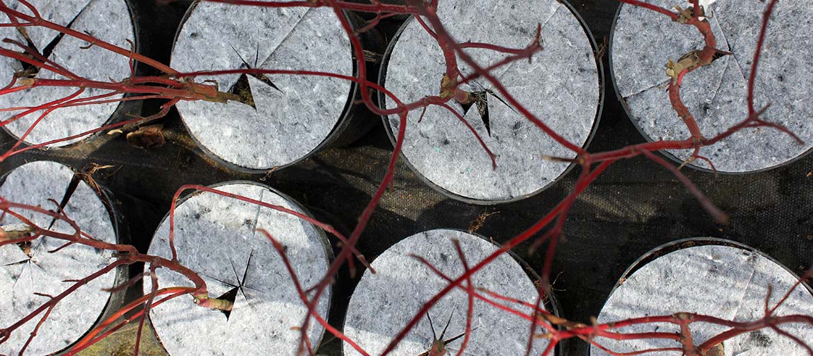 Kuitukangasruohontorjuntalevyt Puola