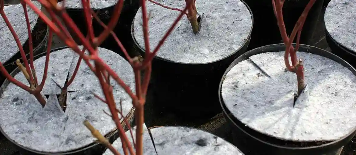 Polyesterikuitukangas