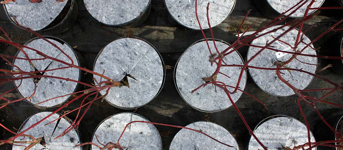 Kuitukangasruohontorjuntalevyt Puola