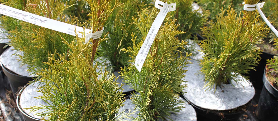 Kuitukangasruohontorjuntalevyt Puola