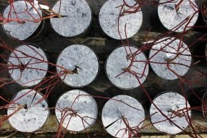 защита от сорняков Польша 07